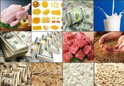 حذف ارز 4200 تومانی گرانی را بیشتر کرد