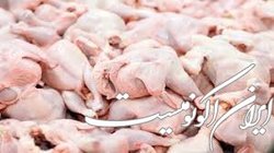 عرضه گوشت مرغ کاهش یافت