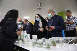 بازدید اعضای کمیسیون آموزش مجلس از پارک علم و فناوری کردستان