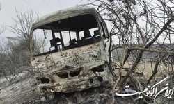 آتش سوزی جنگلی در شمال الجزایر قربانی گرفت