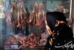 افزایش ۳۵۰ درصدی قیمت گوشت در دولت گذشته و کاهش اجباری مصرف مردم