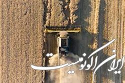 چرا قیمت جهانی گندم افزایش یافت؟