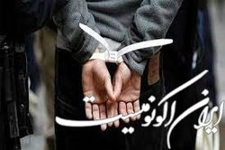 بازداشت دو روس و یک اوکراینی حین تلاش برای ورود به یک کارخانه نظامی در آلبانی