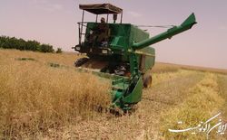 صرفه‌جویی ۳۳۱ میلیارد تومانی با نوسازی کمباین‌های برداشت گندم