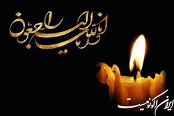 درگذشت مدیر پژوهشی و امور آزمایشگاه‌های دانشگاه تربیت‌مدرس یک روز پس از انتصاب