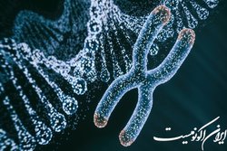 سلول‌های  زامبی  چه هستند و چرا دانشمندان می‌خواهند آنها از بین بروند؟