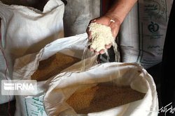 توضیحات ناظر گمرکات سیستان درباره آبگرفتگی محموله برنج وارداتی