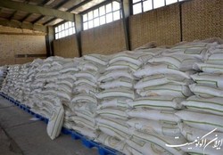 توضیحات گمرک درباره آبگرفتگی محموله برنج وارداتی