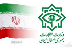 وزارت اطلاعات جزئیاتی جدید از دستگیری تیم تروریستی منتشر کرد