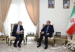 دیدار نماینده جدید در آژانس بین المللی انرژی اتمی  با وزیر امور خارجه