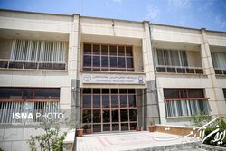 جایگزینی کشت دیم گیاهان دارویی با محصولات کم‌بازده