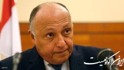مصر از اتیوپی به شورای امنیت شکایت کرد