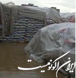 برنج‌های باران خورده گمرک زاهدان ارتباطی با شرکت بازرگانی دولتی ندارد