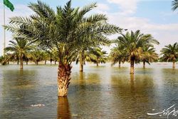 جبران خسارت کشاورزان در مناطق سیل‌زده