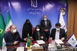 خزعلی: صندوق ضمانت تسهیلات سبب اشتغال زنان سرپرست خانوار می‌شود