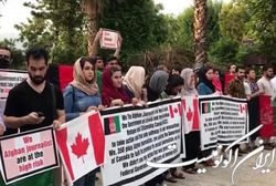 بی‌توجهی نهادهای بین المللی صدای اعتراض پناهجویان افغان را درآورد