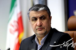 ارائه گزارش رییس سازمان انرژی اتمی از تهیه سند جامع توسعه فناوری هسته ای