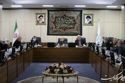 تاکید بر توسعه زنجیره ارزش نفت و گاز و ظرفیت پتروپالایشگاهی کشور