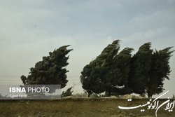 خطر آتش‌سوزی جنگل‌ها در پی وزش باد گرم