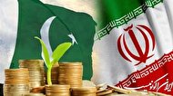 چراغ سبز کابینه پاکستان برای واردات سبزیجات از ایران