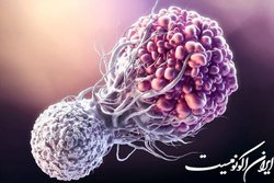 برگزاری ششمین کنگره بین‌المللی سرطان
