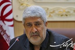 مطالبات ارزی واردکنندگان نهاده‌های دامی را پرداخت کنید