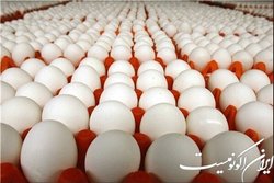 دولت آخر شهریور درباره قیمت تخم مرغ تصمیم گیری می کند