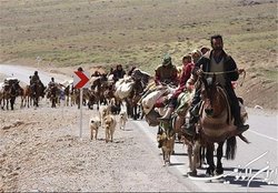 رصد و پایش دام‌های عشایر، روستایی و صنعتی
