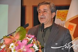 شرکت دخانیات ایران موفق‌ترین شرکت در کشت قراردادی است