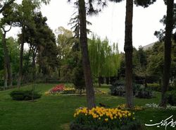 ۲۳ بوستان منطقه‌ای و فرامنطقه‌ای در پایتخت به بهره‌برداری می‌رسد