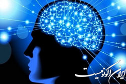 گسترش همکاری صندوق نوآوری و ستاد توسعه علوم و فناوری‌های شناختی