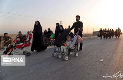 کاشت نهال در مسیر پیاده‌روی اربعین