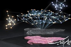 تعیین میزان بقای بیماران مبتلا به سرطان با فناوری یادگیری عمیق جدید