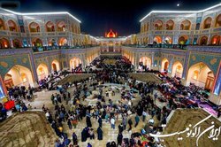 تکذیب درگذشت زائر در حرم حضرت علی (ع)