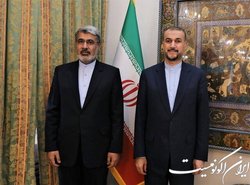سفیر ایران در ژنو برنامه کاری خود را به امیر عبداللهیان ارائه کرد