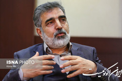 کمالوندی: خلاء نظارتی مورد ادعای آژانس مبنای حقوقی ندارد