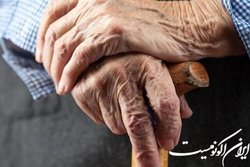 تبعات اقتصادی سالمندی جمعیت