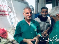 قصه «حاج قاسم نمونه» از معلمی تا آشپزی برای امام حسین (ع)