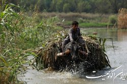 نقش تغییرات اقلیمی در وقوع سیل‌های اخیر پاکستان