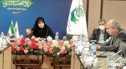 رفیعی: گزارشات دیوان محاسبات مبنای تصمیم‌گیری شورای برنامه ریزی استان تهران باشد