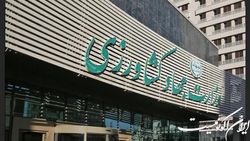 سرپرست معاونت توسعه بازرگانی وزارت جهادکشاورزی منصوب شد