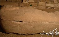 کشف تابوت رئیس خزانه مصر باستان