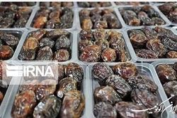 قیمت هر کیلوگرم خرما در میادین میوه و تره‌بار تهران چقدر است؟