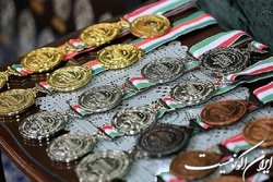 شرایط مناسب شود،کشور از ثمرات نخبگان بهره‌مند می‌شود