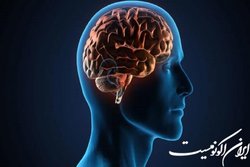 چه چیزی مغز انسان را از سایر حیوانات متمایز می‌کند؟