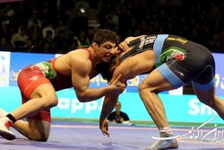 کشتی آزاد ایران لایق قهرمانی جهان است