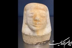 توقیف ظرف نگهداری احشاء در آمریکا