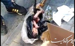 آماری از «نوزادان رها شده» در تهران