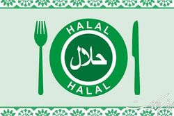 توسعه صادرات محصولات حلال معطل بروکراسی اداری نشود