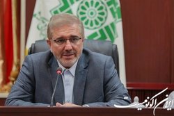 توقیف ۷۶۱ خودروی وارداتی یک بدهکار مالیاتی
